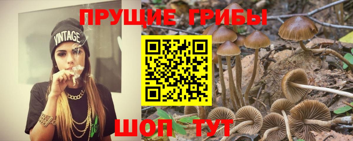 Гашиш Борзя