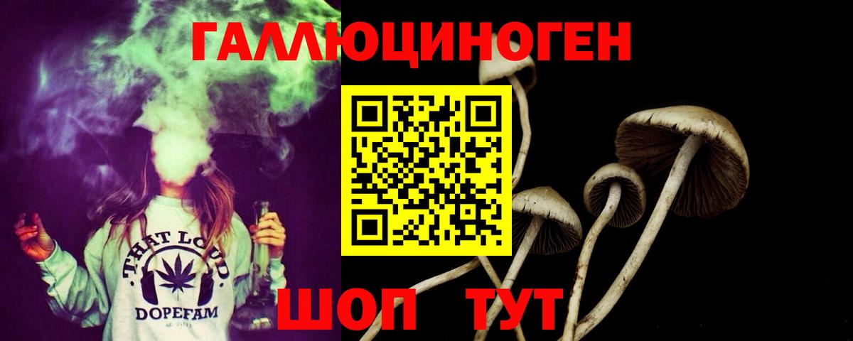 Галлюциногенные грибы Psilocybine cubensis  Вход с VPN  сколько стоит  Борзя 